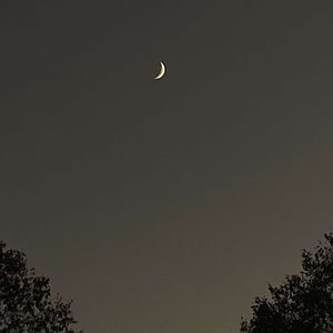 Meet your Posher, Addison